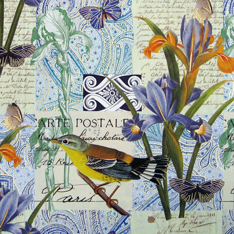 The Fat Finch Boutique for Bird Lovers | Rossi Italian Gift Wrapping Paper — Bird with Iris 