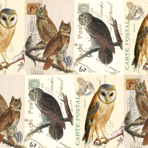 Rossi Italian Gift Wrapping Paper — Owls — from The Fat Finch Boutique for Bird Lovers