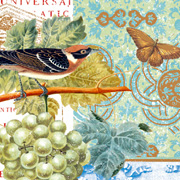 Rossi Italian Gift Wrap — Bird and Vineyard — from The Fat Finch Boutique for Bird Lovers