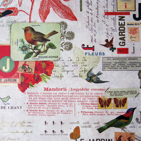 Rossi Italian Gift Wrapping Paper — Bird and Garden — from The Fat Finch Boutique for Bird Lovers