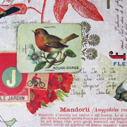 Rossi Italian Gift Wrap — Bird and Vineyard — from The Fat Finch Boutique for Bird Lovers 