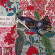 Rossi Italian Gift Wrap — Bird and Holiday — from The Fat Finch Boutique for Bird Lovers