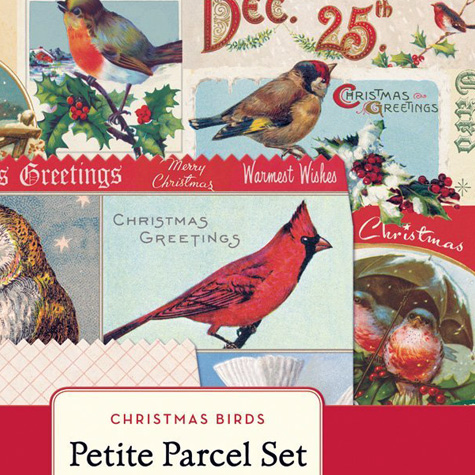 The Fat Finch Boutique for Bird Lovers | Bird Business Card Caddy