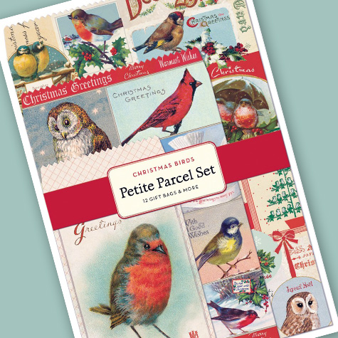 Christmas Birds Parcel Mailing Kit from Cavallini & Company