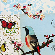 Birds with Music and Letters and Gift Wrap by Cavallini and Company from The Fat Finch Boutique for Bird Lovers