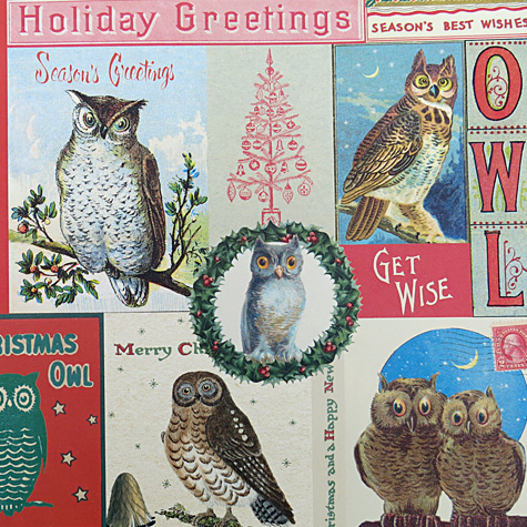 Holiday Owls Gift Wrap from Cavallini & Company