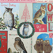 Holiday Owls Gift Wrap paper by Cavallini and Company from The Fat Finch Boutique for Bird Lovers