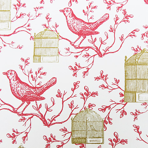 Vintage Birds and Cages Gift Wrap Paper by Cavallini from The Fat Finch