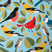 Multi Birds Gift Wrapping Paper from The Fat Finch Boutique for Bird Lovers