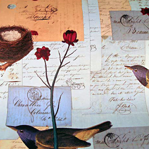 The Fat Finch Boutique for Bird Lovers | Cavallini & Co. Gift Wrapping Paper 