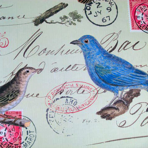 The Fat Finch Boutique for Bird Lovers | Cavallini & Co. Gift Wrapping Paper 