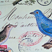 Cavallini  and Co. Birds Gift Wrapping Paper from The Fat Finch Boutique for Bird Lovers