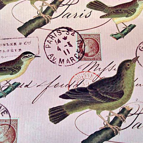 The Fat Finch Boutique for Bird Lovers | Cavallini & Co. Gift Wrapping Paper 