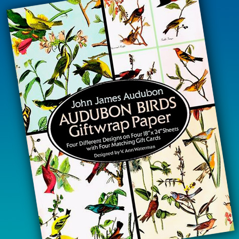 The Fat Finch Boutique for Bird Lovers | Audubon Gift Wrap + Cards 