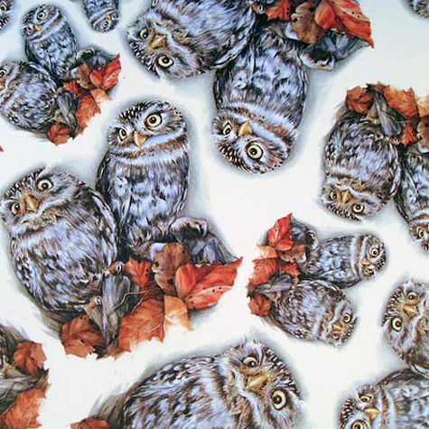 The Fat Finch Boutique for Bird Lovers | Hurzlmeier Cards 