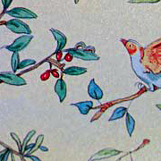Gift Wrap by Anita Jeram from The Fat Finch Boutique for Bird Lovers