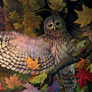 The Fat Finch Boutique for Bird Lovers | Jay Burch Owl Bird Jigsaw Puzzle