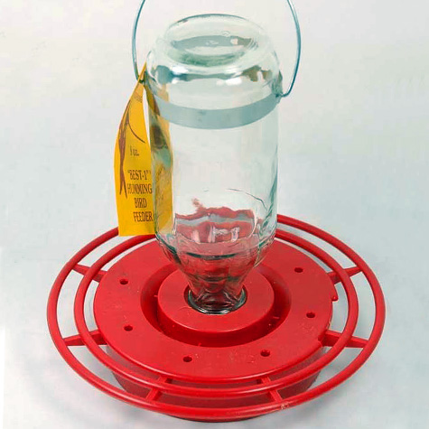 The Fat Finch Boutique for Bird Lovers | Best 1 Hummingbird Feeder, Small