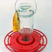 Best 1 Hummingbird Feeder — Small —