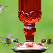 Perky Pet Antique Style Hummingbird Feeders