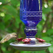 Perky Pet Antique Style Hummingbird Feeders