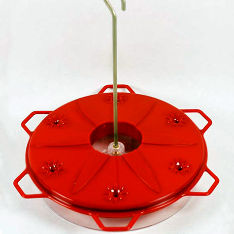 The Fat Finch | Bird Hummingbird Feeders