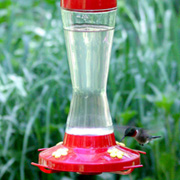 Perky Pet Hummingbird Feeder — Pinch Waist Feeder —