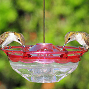 HummBlossom Hummingbird Feeder by Aspects