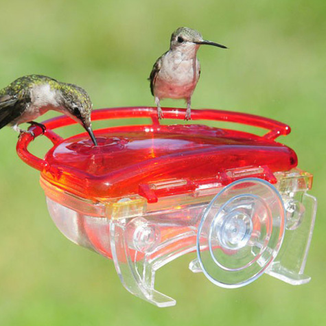 The Gem 4 Ounce Hummingbird Feeder