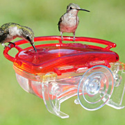 The Gem Hummingbird Feeder by Aspects