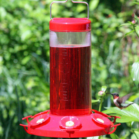 The Fat Finch | Perky Pet Grand Master Hummingbird Feeder