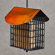 The Fat Finch Boutique for Bird Lovers | Bird Feeders