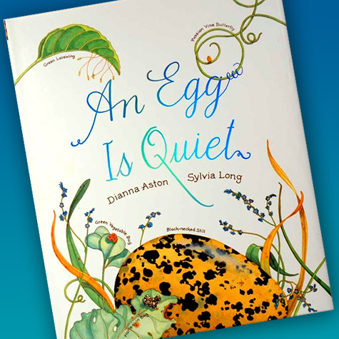 An Egg is Quiet | Children's Book from the Fat Finch