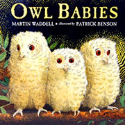 The Fat Finch Boutique for Bird Lovers | Owl Babies | Kids Bird Book