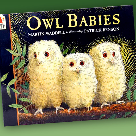 Owl Babies | Children's Book from the Fat Finch