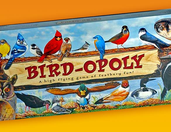 Bird-opoly | Children's Game from the Fat Finch