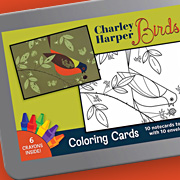 Charley Harper Coloring Book of Birds from The Fat Finch Boutique for Bird Lovers