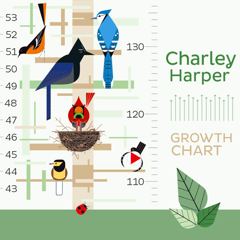 Charley Harper Kid's Growth Chart from The Fat Finch Boutique for Bird Loversr