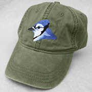 The Fat Finch Boutique for Bird Lovers | Embroidered Blue Jay Baseball Cap
