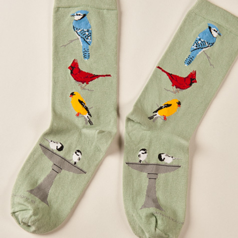 The Fat Finch Boutique for Bird Lovers | Birds Waiting for Bird Bath Socks by Wheel House Designs