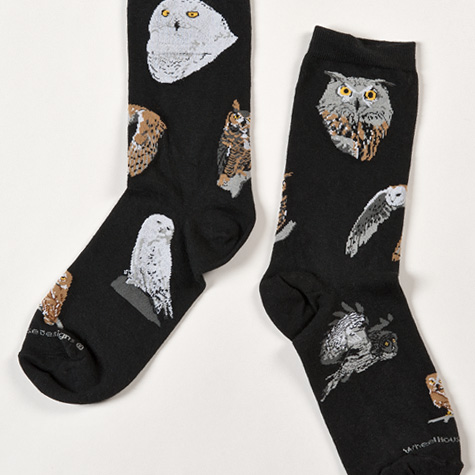 The Fat Finch Boutique for Bird Lovers | Owl Socks by Wheel House Designs