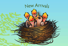 The Fat Finch New Arrivals