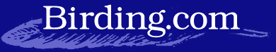 Birding.com