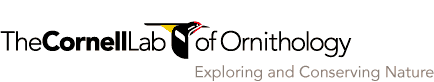 Cornell Lab of Ornithology