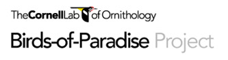 Cornell Birds of Paradise Project