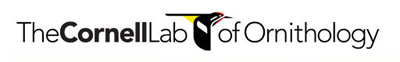 Cornell Lab of Ornithology