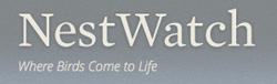 Nest Watch