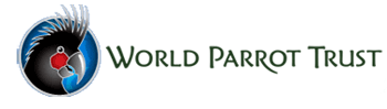World Parrot Trust
