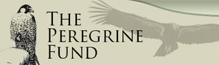 The Peregrine Fund