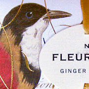 The Fat Finch Boutique for Bird Lovers | Botanical Bird Soap